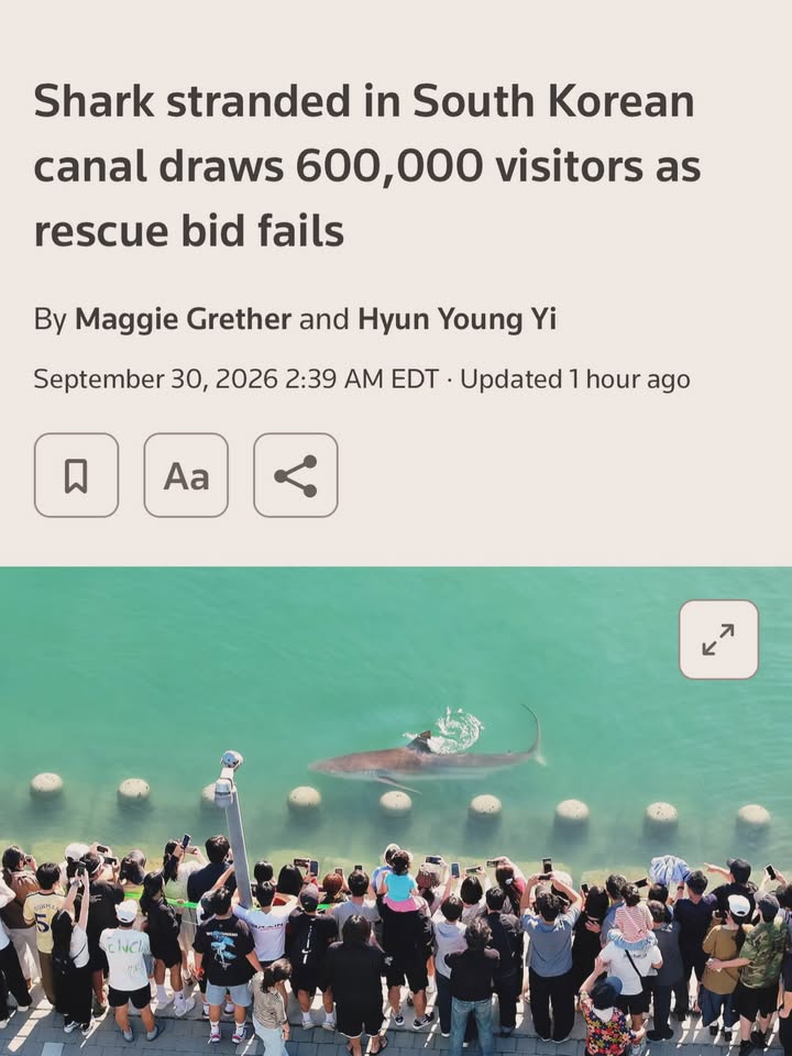 Save The Ocean From Big Wind 