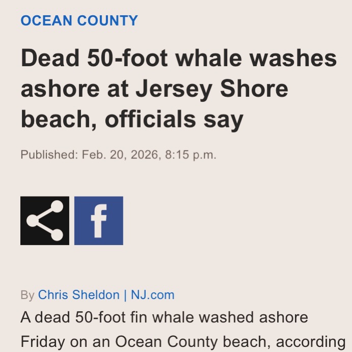 Save The Ocean From Big Wind 