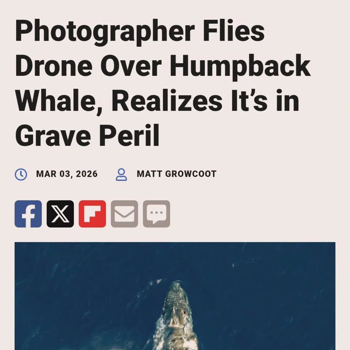 Save The Ocean From Big Wind 