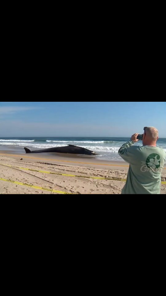 Save The Ocean From Big Wind 