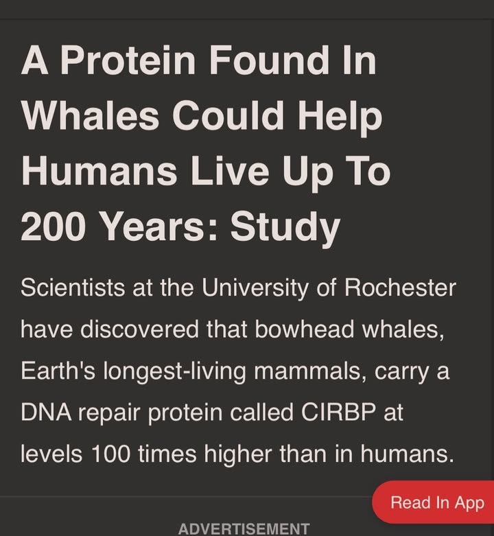 Save The Ocean From Big Wind 