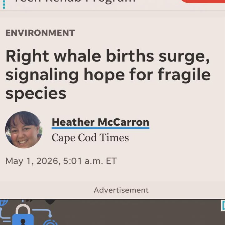 Save The Ocean From Big Wind 
