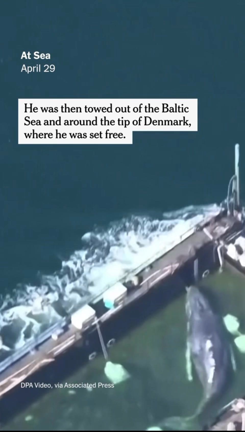 Save The Ocean From Big Wind 