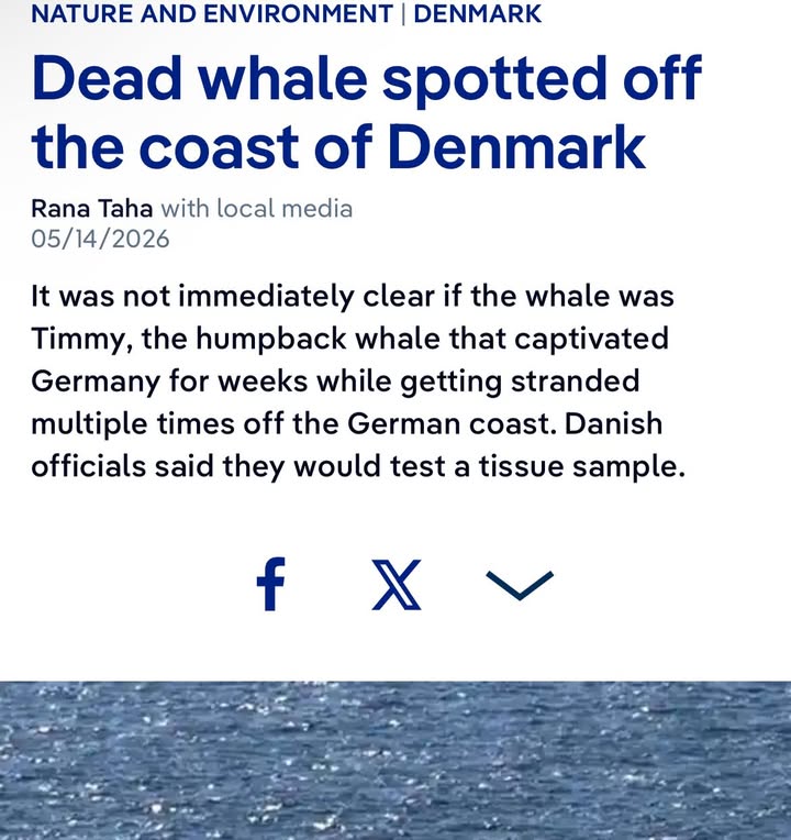 Save The Ocean From Big Wind 