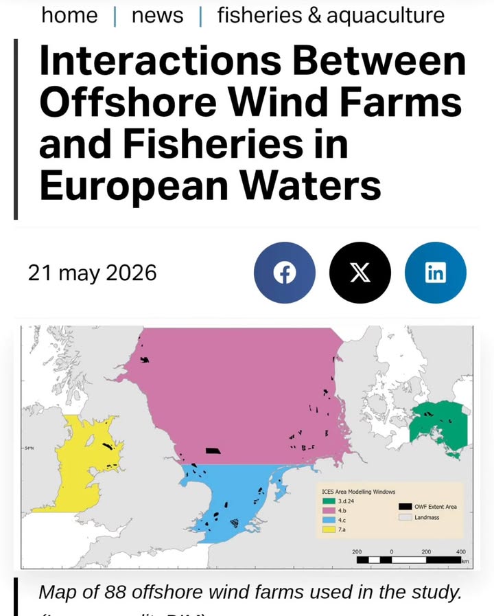 Save The Ocean From Big Wind 