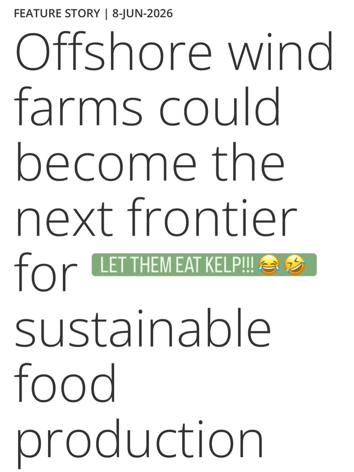 Save The Ocean From Big Wind 