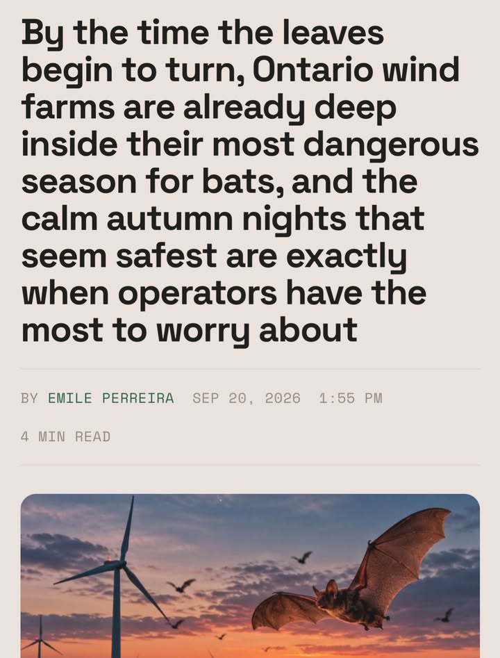 Save The Ocean From Big Wind 