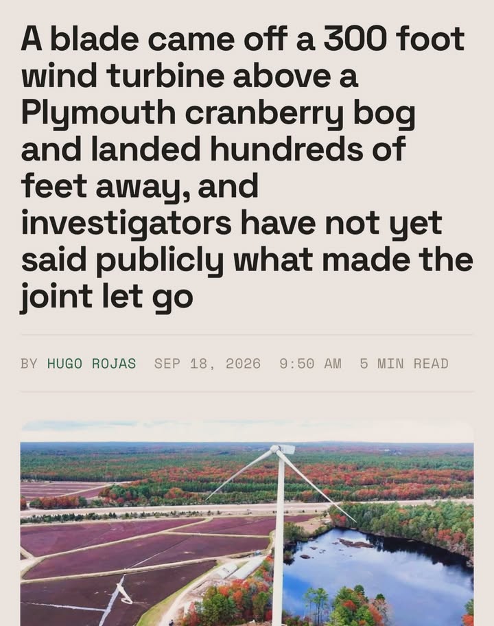 Save The Ocean From Big Wind 